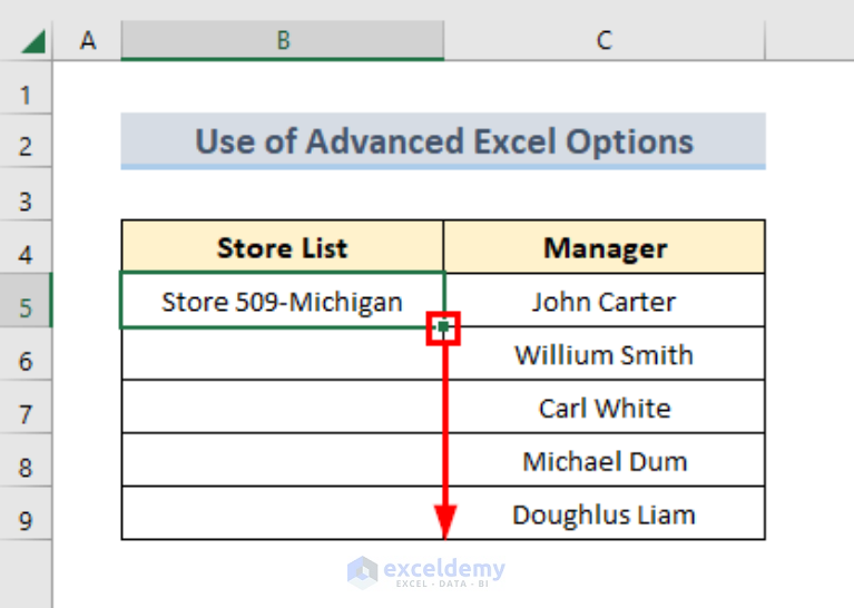 How To Create A Custom AutoFill List In Excel 2 Quick Methods