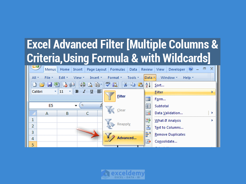 Excel Advanced Filter Multiple Columns Criteria Formula Wildcards 