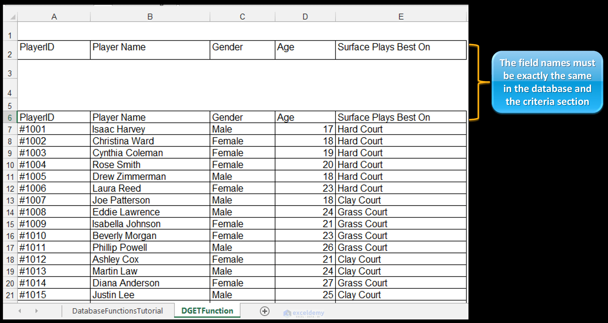 DGET Excel Function, Tennis Player Database