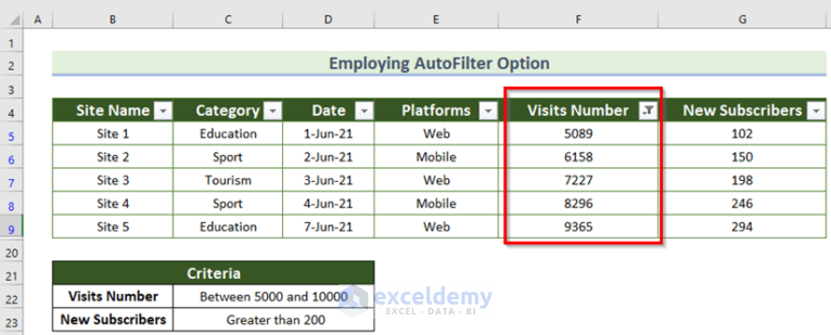 how-to-apply-multiple-filters-in-excel-6-suitable-methods