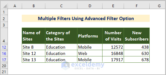 Advanced Filter option output