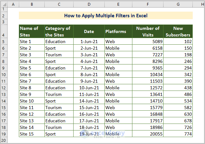 How To Apply Multiple Filters In Excel Methods VBA ExcelDemy