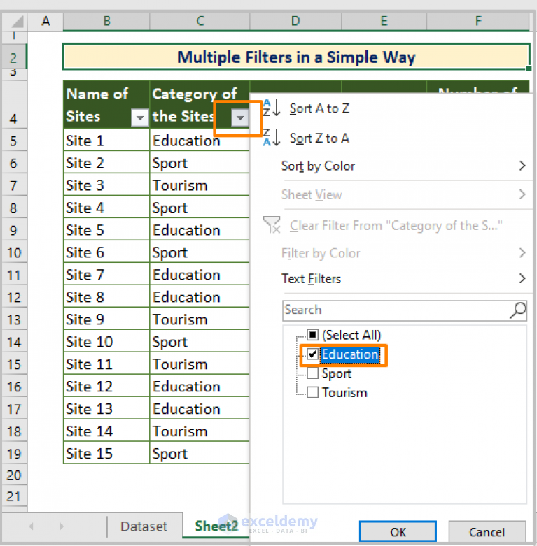 how-to-apply-multiple-filters-in-excel-methods-vba