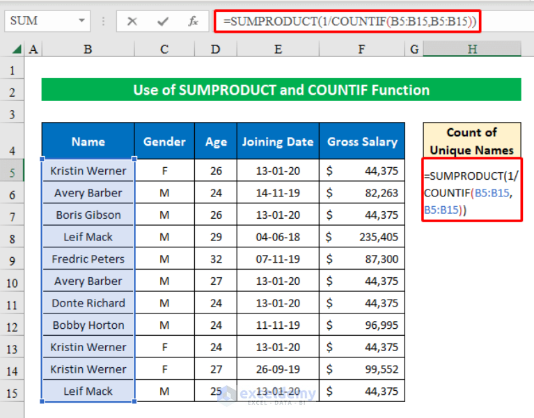 how-to-count-unique-names-in-excel-6-simple-methods