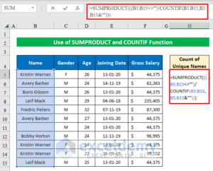 How to Count Unique Names in Excel (6 Simple Methods)