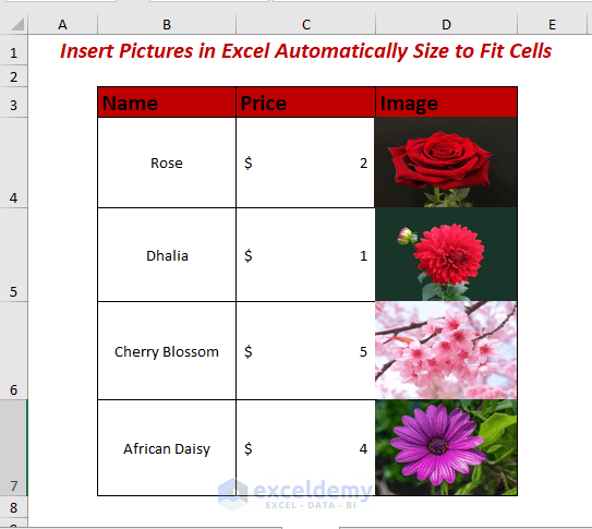 insert-pictures-in-excel-automatically-size-to-fit-cells-exceldemy