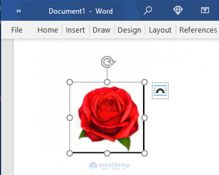 how-to-insert-picture-into-excel-cell-3-methods-exceldemy