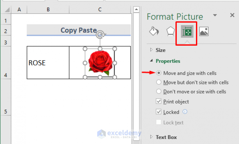 how-to-insert-picture-into-excel-cell-3-methods-exceldemy