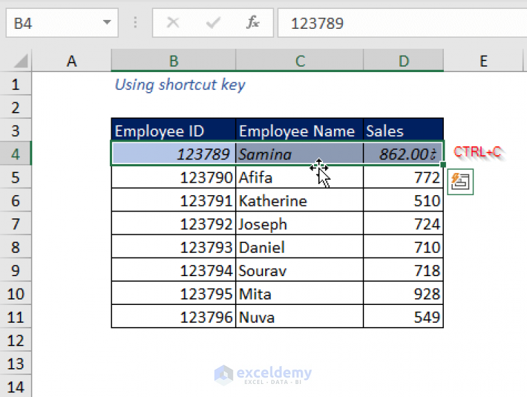 how-to-copy-and-paste-exact-formatting-in-excel-quick-6-methods