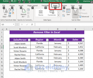 How to Remove Filter in Excel (5 Easy & Quick Ways) - ExcelDemy