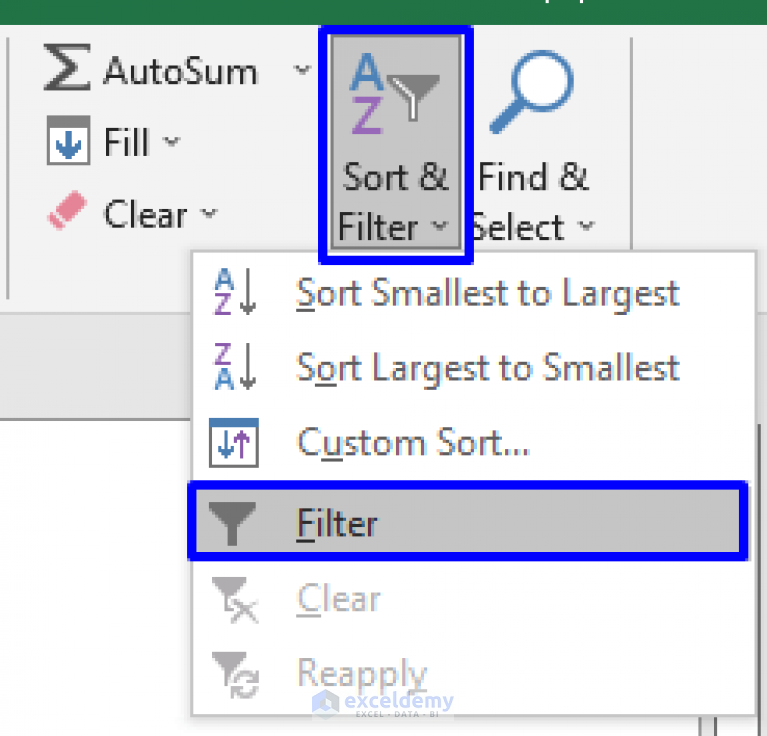 How To Perform Custom Filter In Excel 5 Ways ExcelDemy