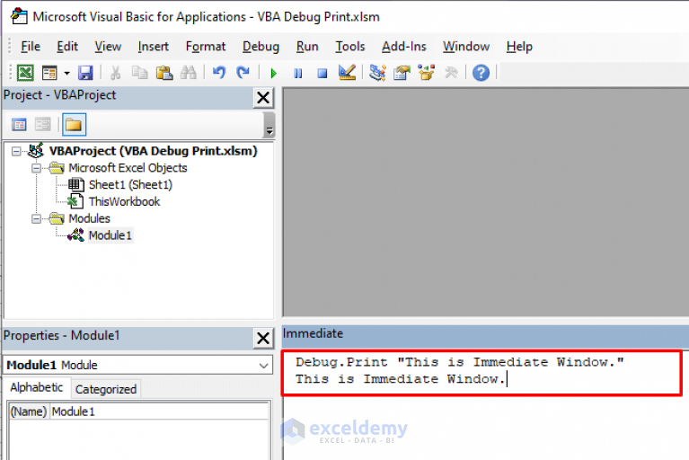 excel-vba-debug-print-how-to-do-it-exceldemy