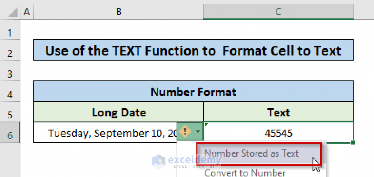 excel-vba-format-cell-as-text-3-methods-exceldemy