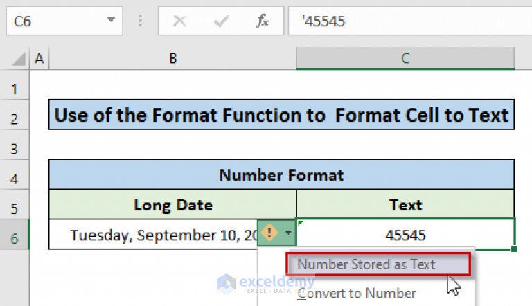 excel-vba-format-cell-as-text-3-methods-exceldemy