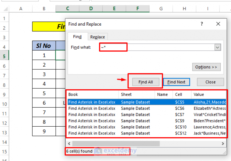 How to Find * Character Not as Wildcard in Excel (2 Methods)