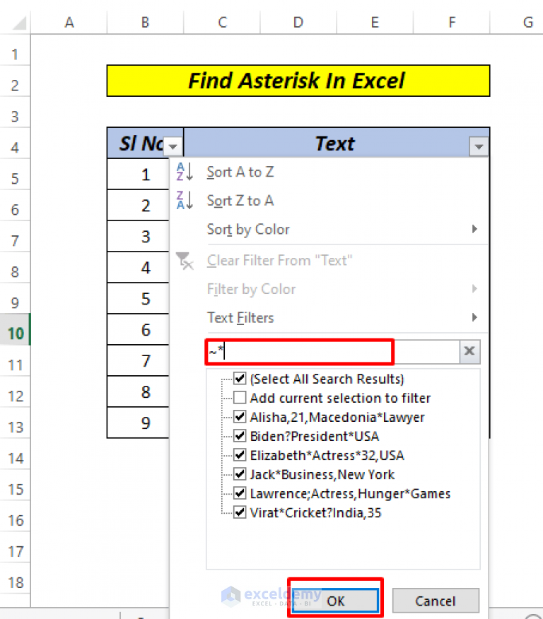 How to Find * Character Not as Wildcard in Excel (2 Methods)