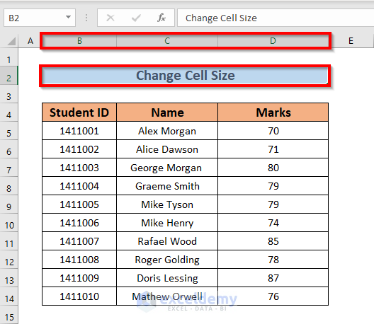 How to Change Cell Size Without Changing Whole Column (2 Easy Ways)