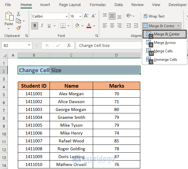 how-to-change-cell-size-without-changing-whole-column-2-methods