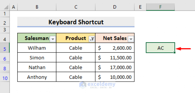 how-to-copy-and-paste-in-excel-when-filter-is-on-5-methods