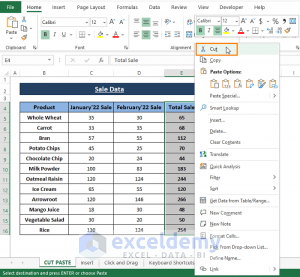 How to Move a Group of Cells in Excel (4 Easy Ways) - ExcelDemy