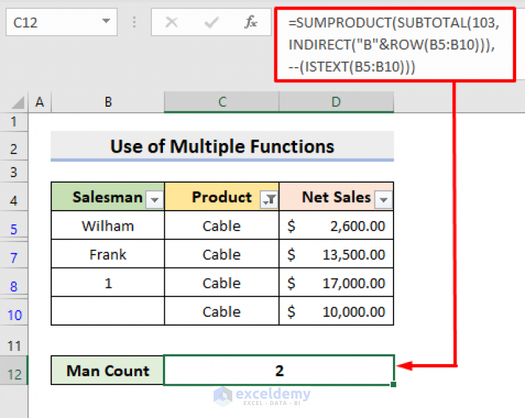 How to Count Filtered Cells with Text in Excel (3 Methods) - ExcelDemy