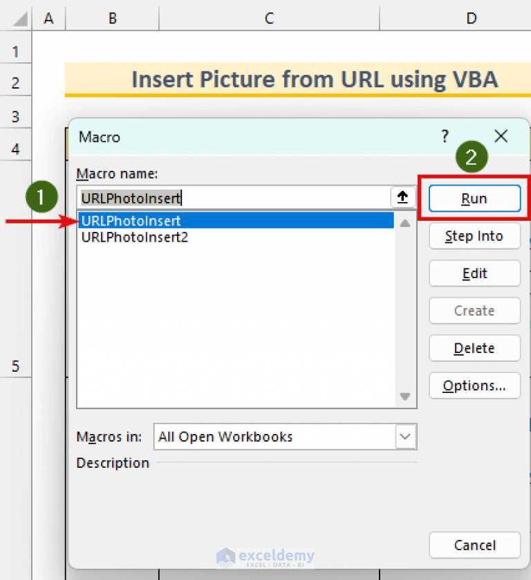 how-to-insert-picture-from-url-using-vba-in-excel-2-methods