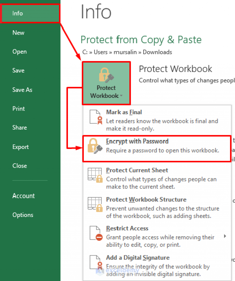 how-to-protect-excel-sheet-from-copy-paste-4-effective-ways