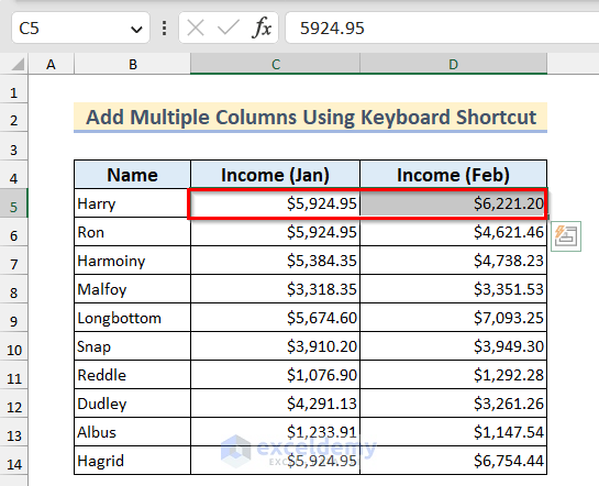 how-to-add-multiple-rows-and-columns-in-excel-4-examples