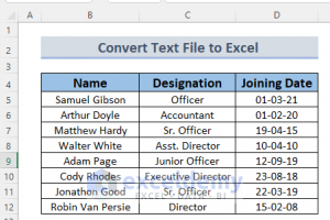 How To Convert Text File To Excel Automatically (3 Suitable Ways)