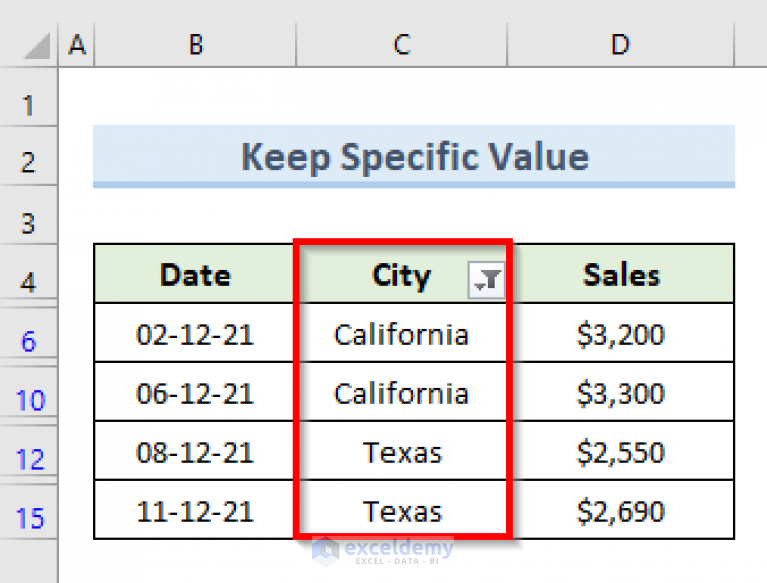 excel-vba-to-filter-in-same-column-by-multiple-criteria-6-examples