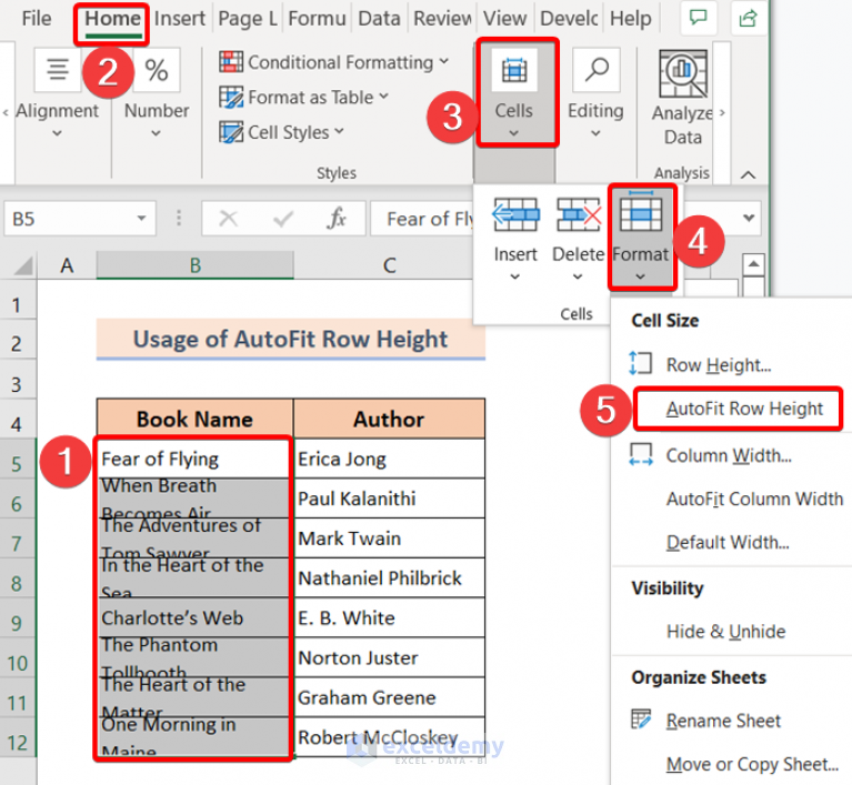 Excel Box Not Showing All Text