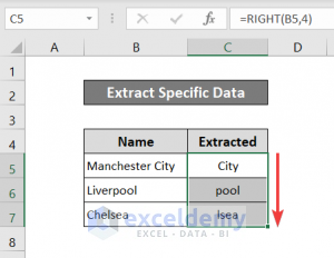 How To Extract Specific Data From A Cell In Excel (3 Examples)