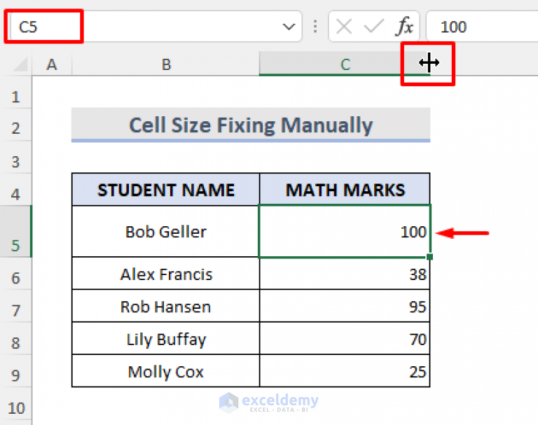 how-to-fix-cell-size-in-excel-11-quick-ways-exceldemy