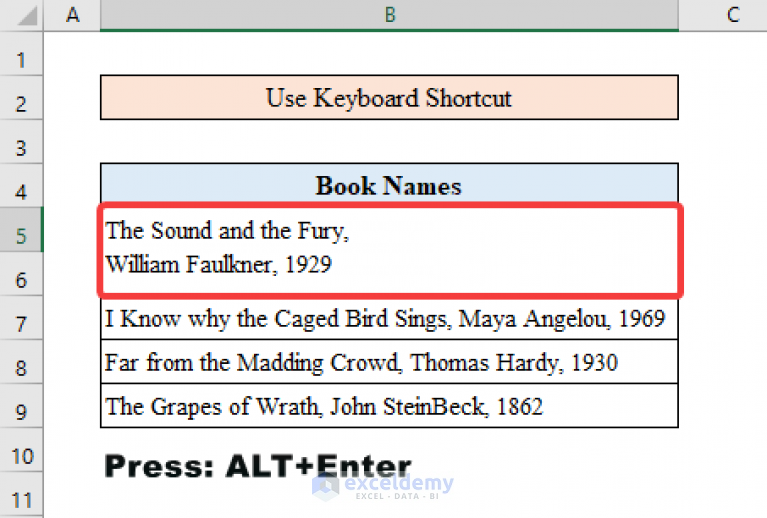 how-to-add-a-line-in-excel-cell-5-easy-methods-exceldemy