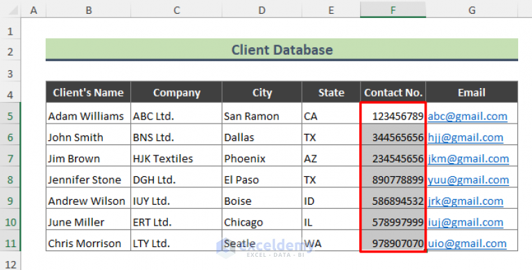 How to Create a Client Database in Excel (With Easy Steps) - ExcelDemy