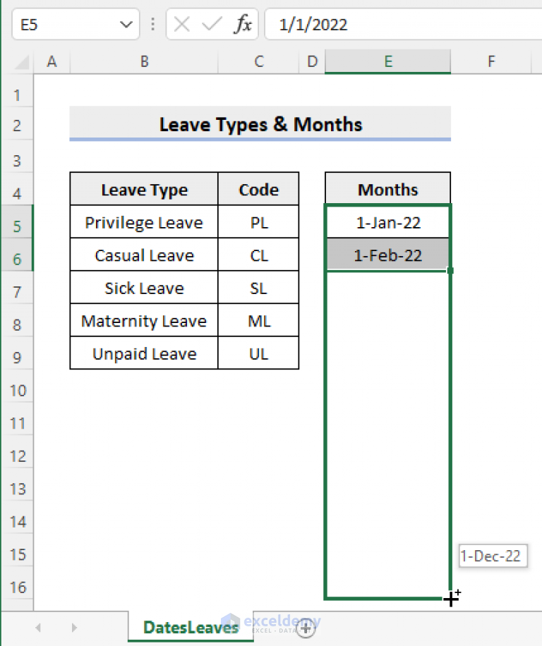 Employee Leave Record Format in Excel (Create with Detailed Steps)