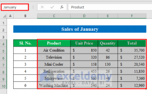 How to Make Monthly Sales Report in Excel (with Simple Steps)