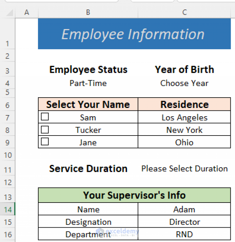 How To Make A Fillable Form In Excel 5 Suitable Examples 3975