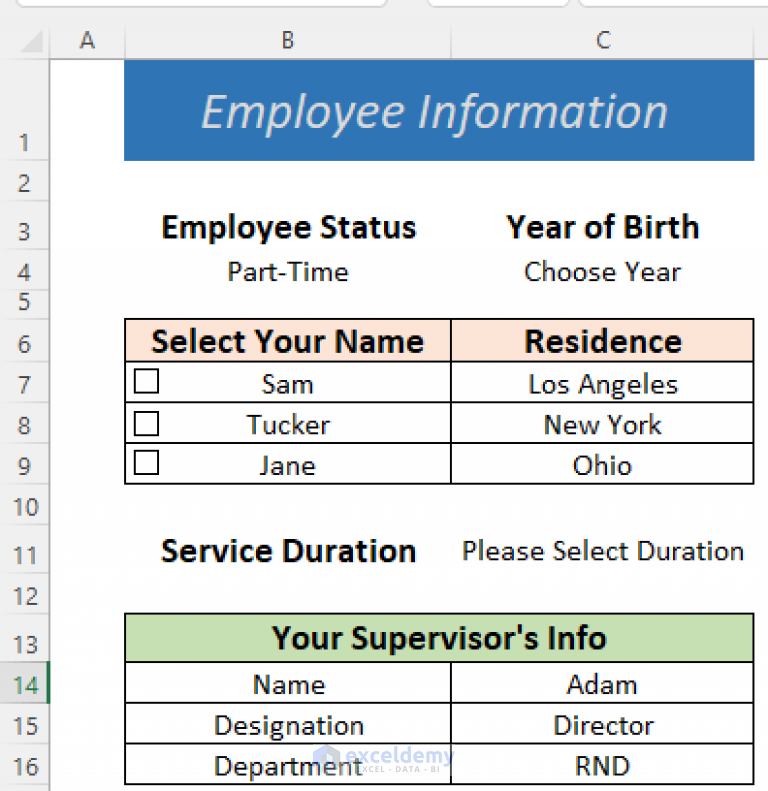 how-to-make-a-fillable-form-in-excel-5-suitable-examples