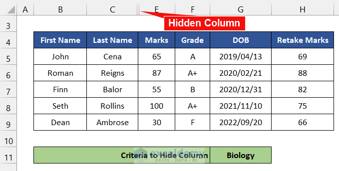 Excel VBA Hide Columns Based On Cell Value 15 Examples 