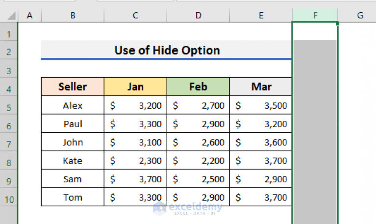 How to Hide Blank Cells in Excel (5 Easy Ways) - ExcelDemy