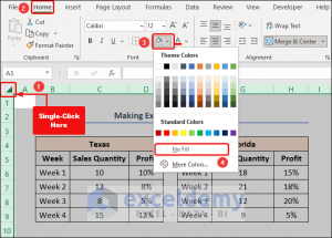 How to Make Excel Look Like a Page (with Easy Steps)