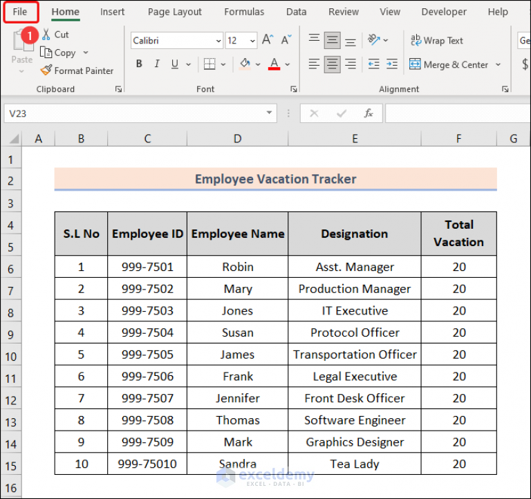 How to Track Employee Vacation Time in Excel (with Easy Steps)