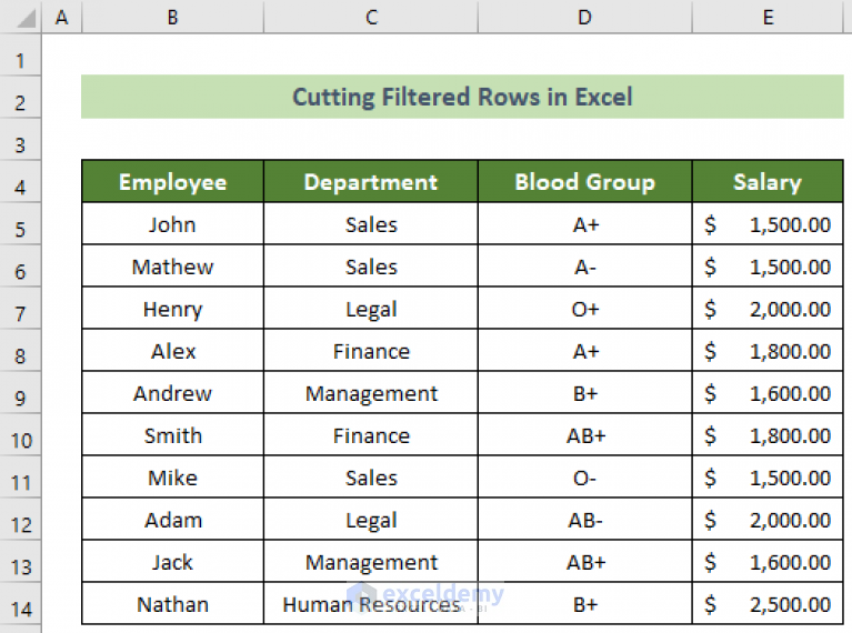 how-to-cut-filtered-rows-in-excel-with-quick-steps-exceldemy