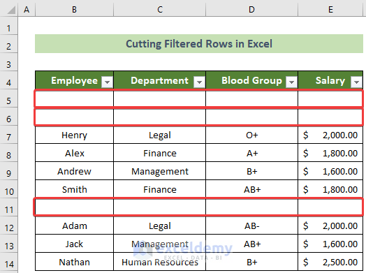 how-to-cut-filtered-rows-in-excel-with-quick-steps-exceldemy