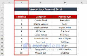 Basic Terminologies Of Microsoft Excel - ExcelDemy