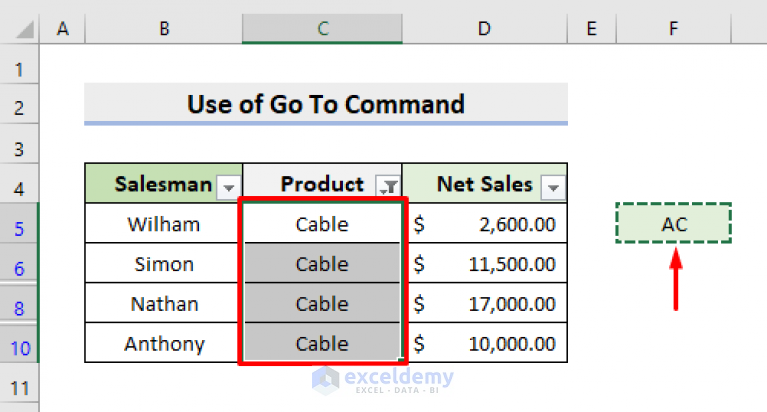 how-to-paste-into-visible-cells-only-in-excel-5-easy-methods