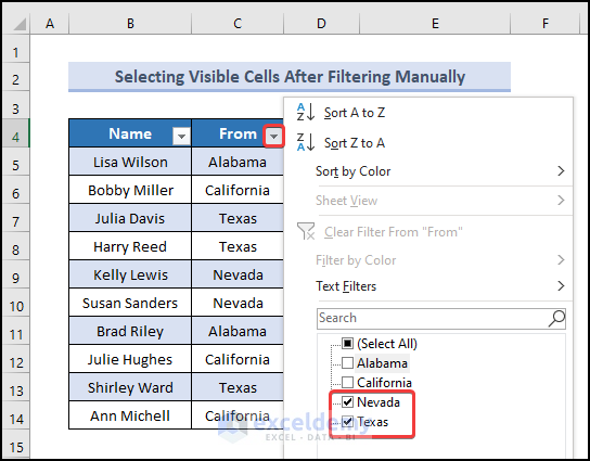 How To Select Visible Cells In Excel With Vba Easy Methods