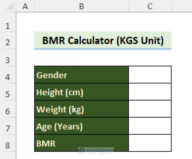 Metabolic Age Calculator in Excel (3 Applications)