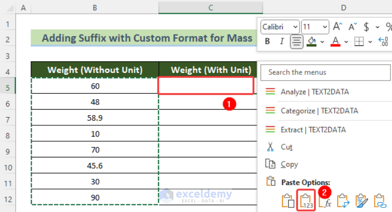 how-to-add-text-suffix-with-custom-format-in-excel-5-examples